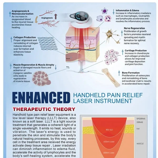 Pain Relief Cold Laser Therapy Device For Human, Animals Pets Joint Wound Healing LLLT