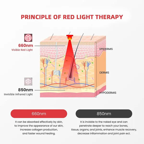 Slimming Belt with Infrared Therapy for Pain Relief, Fat Burning, and Muscle Relaxation, promoting Health Care and Waist Heating